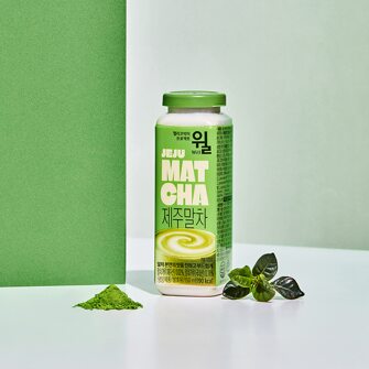 헬리코박터 프로젝트 윌 제주말차